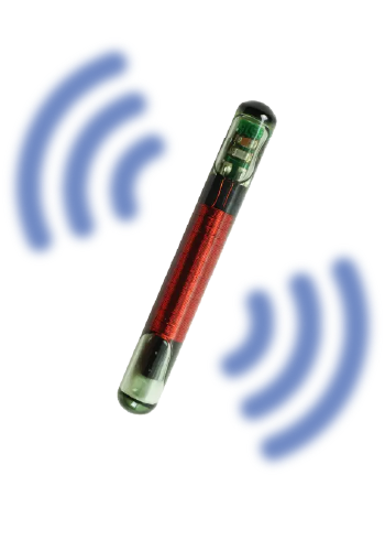 Image of the BioVetSensor Health implant